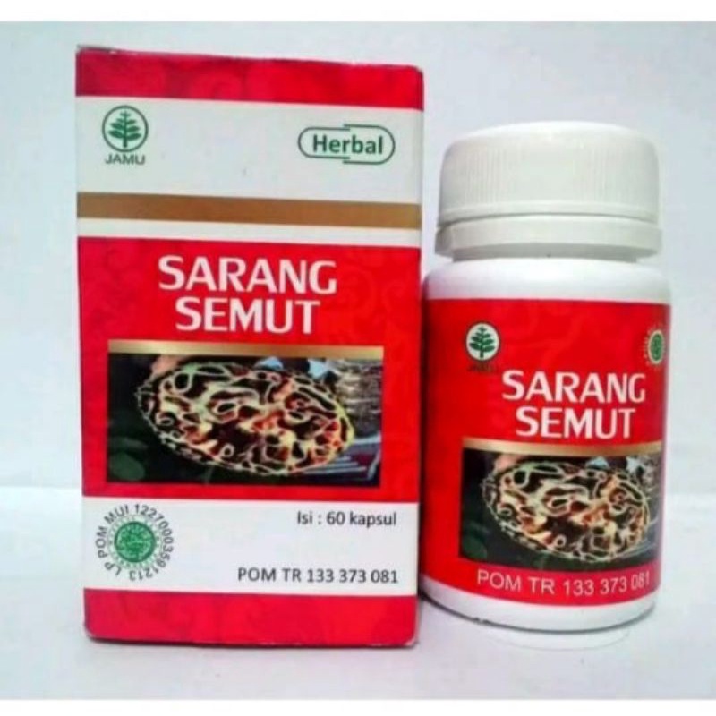 kapsul sarang semut