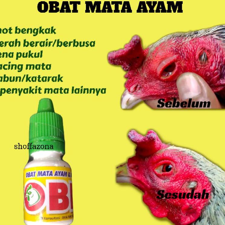 Penjualan Terbanyak.. Obat Mata Ayam Obat Mata Burung , Obk Mata, Obk Mata Ayam