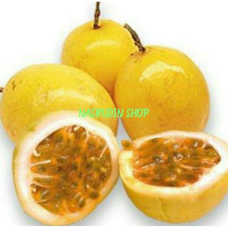 50 SEED BENIH MARKISA KUNING / BIBIT BIJI MARKISA KUNING / BIBIT BIJI BUAH MARKISA