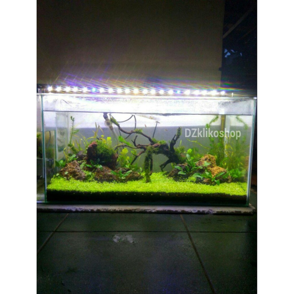 Lampu Led Diy Aquarium Aquascape Aneka Ukuran Shopee Indonesia