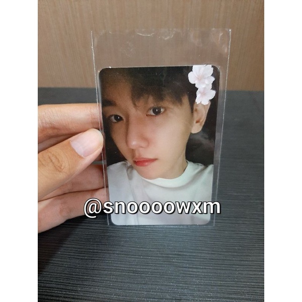 PC Baekhyun Delight Chemistry Bunga (BOOKED)