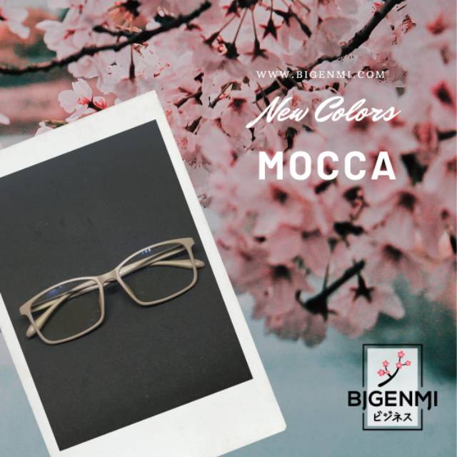 Kacamata ion bigenmi