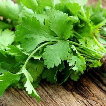 

RB Daun Ketumbar Wansui Yensui Cilantro Coriander Leaves 100gr