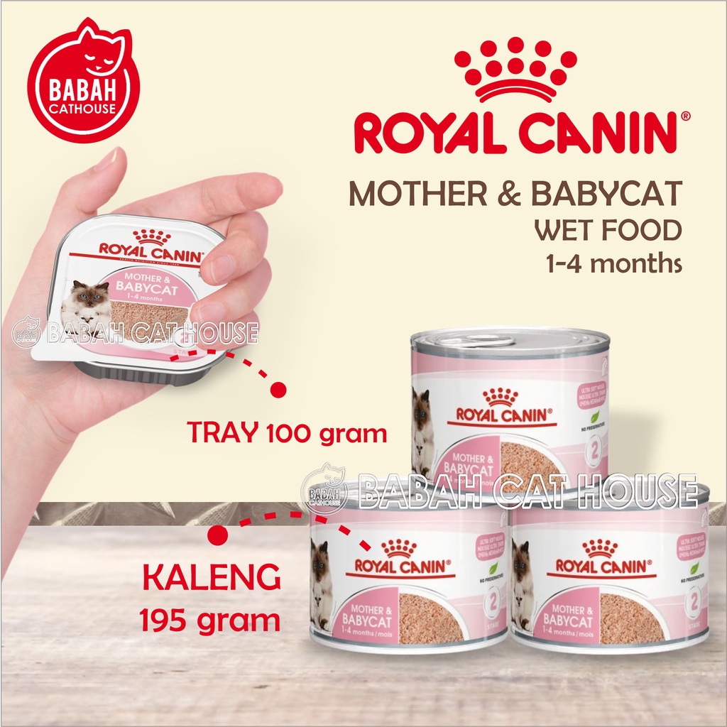 RC MOTHER AND BABY CAT Kemasan KALENG / TRAY Royal Canin Makanan Kucing Basah untuk Bayi 1 Bulan
