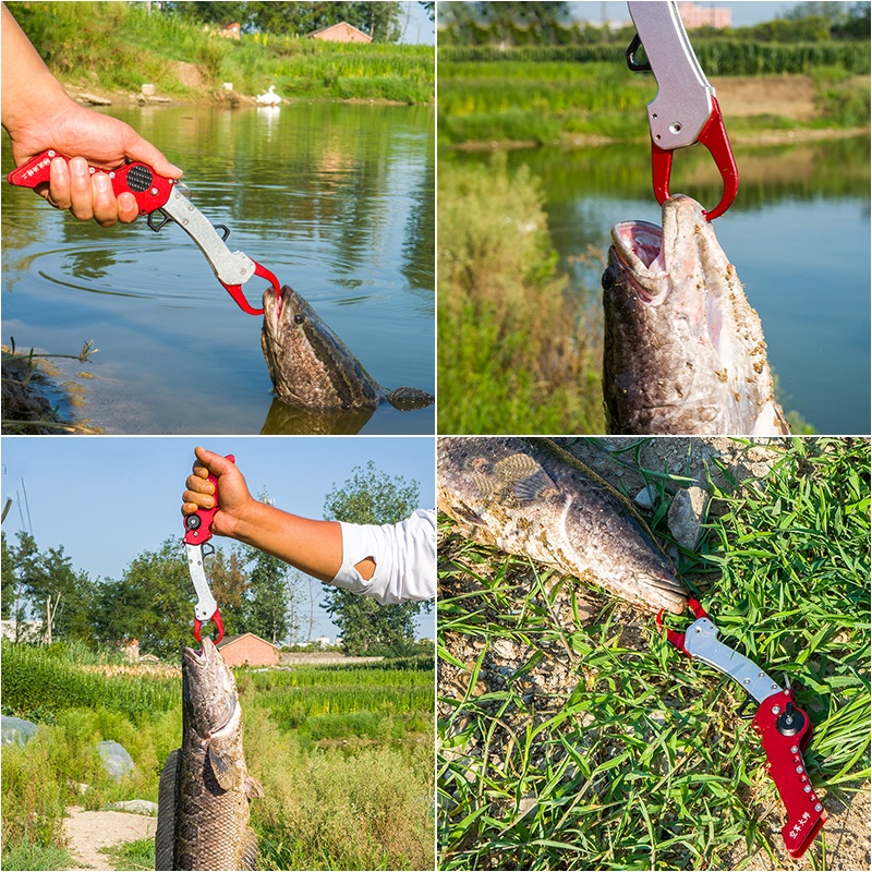 28.3Cm/182G Folding Fish Lip Gripper Foldable 18.5Cm Stainless Steel Fish Scales Professional Fish Holder Control Accessories Collapsible Portable Lightweight Aluminium Alloy Gripper Grip Tool