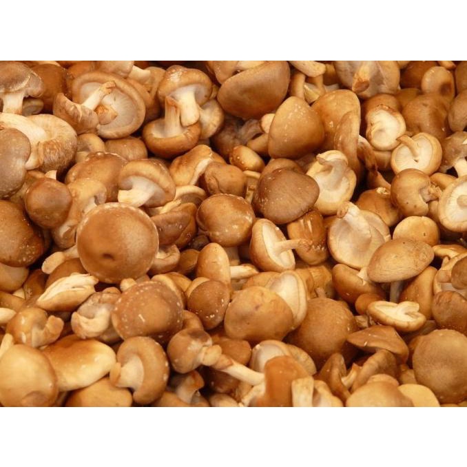 

Shiitake mushroom sudah di potong