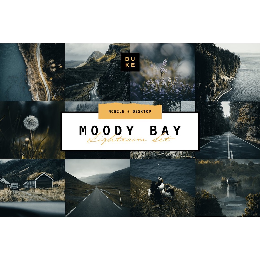 Moody Bay 4 Pro Lightroom Presets Desktop IOS Android