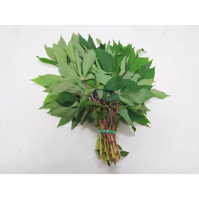 

SAYUR / DAUN SINGKONG 120 GR