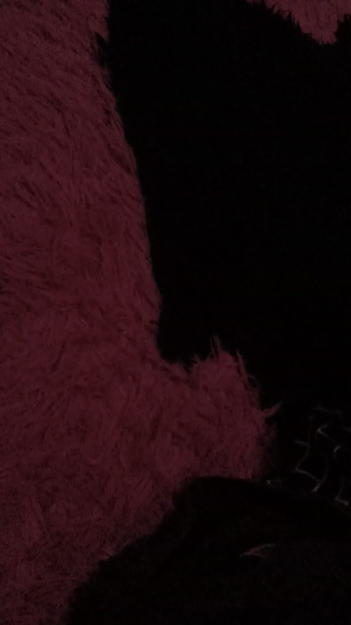 Atasan Batik Wanita Modis • Batik Wanita • Shopee Haul