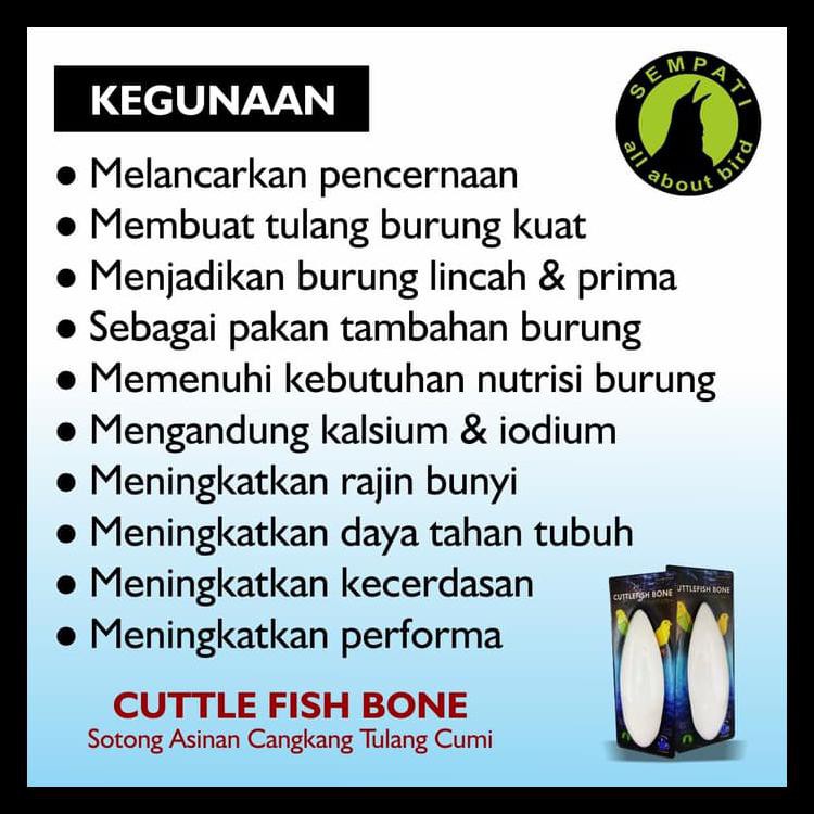 

Promo Cuttlefish Bone Tulang Sotong Cangkang Asinan Cumi Super Jumbo Premium Promo !!