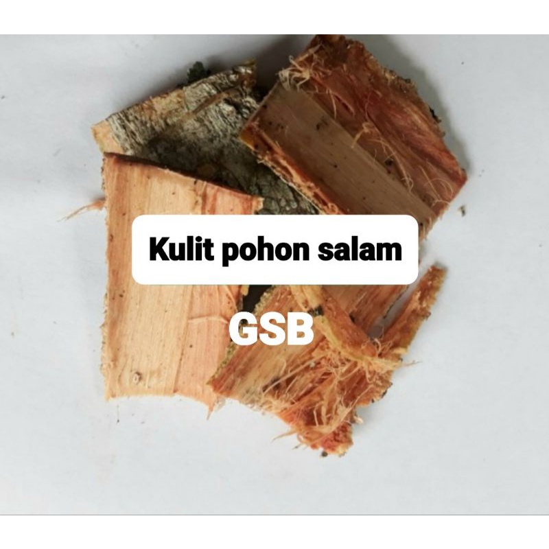 

Kulit pohon salam asli segar 500 gram