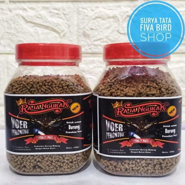 New Raja Ngurak voer perontok bulu dengan bahan alami untuk semua jenis burung tuntaskan burung mabu