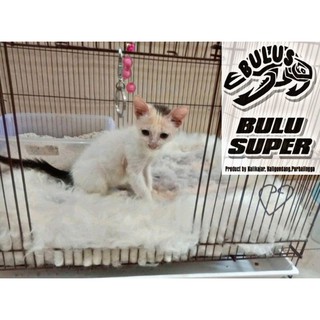 kasur kucing 1 set harga grosir !! (tanpa kandang)  Shopee Indonesia