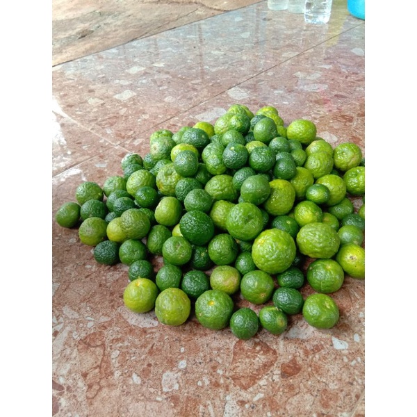 

jeruk limau/jeruk sambal/jeruk es degan 500gram