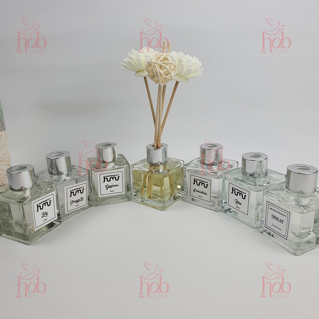 Parfum Pengharum Ruangan Aroma Reed Diffuser Aromatherapy Stick Rotan Taffware 50ml-6