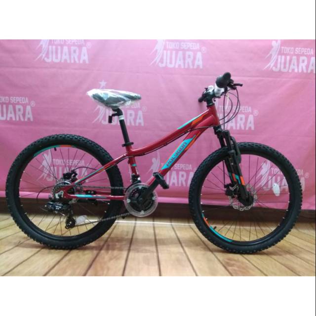  SEPEDA  POLYGON  RELIC RED MTB 24 INCH ALLOY  FRAME  Shopee 