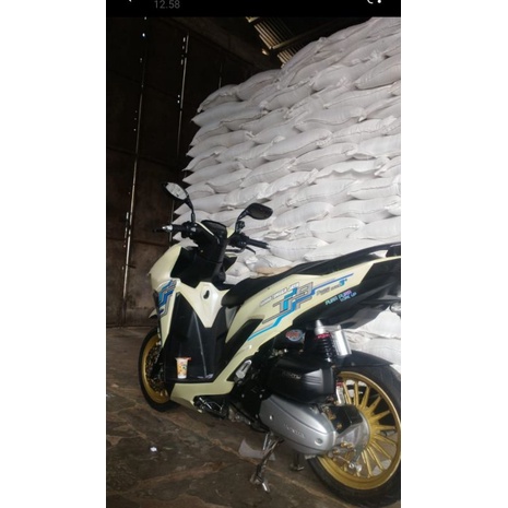 Striping transparan Vario new varian STJ CULLEN