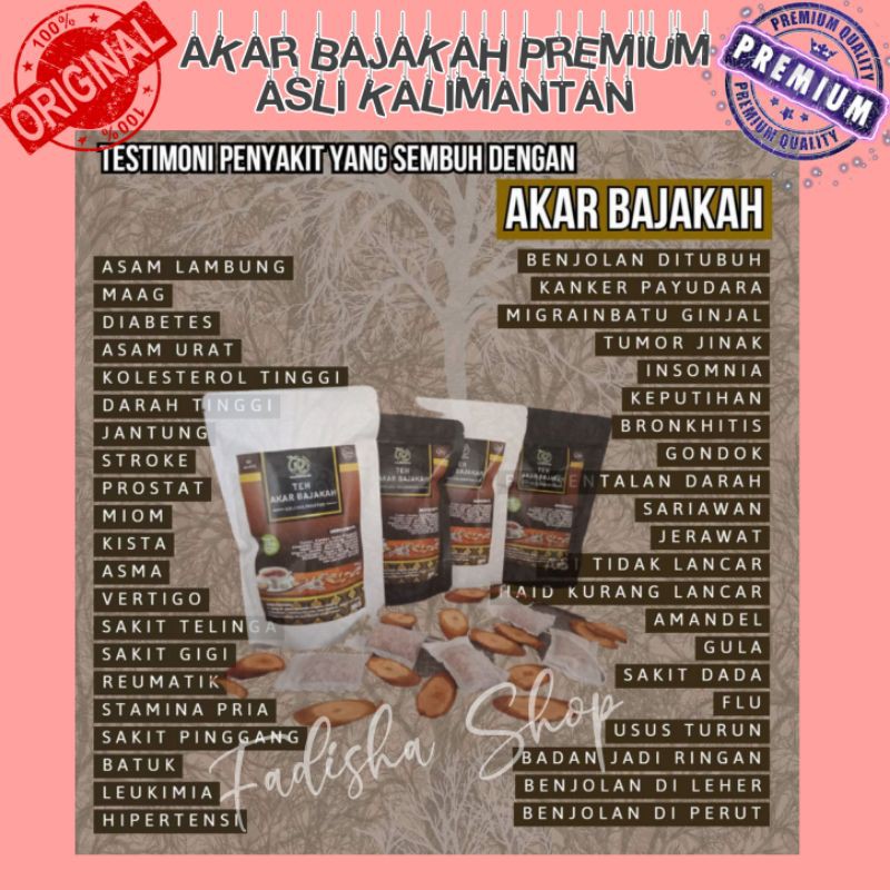 

AKAR POHON BAJAKAH ASLI KALIMANTAN PREMIUM