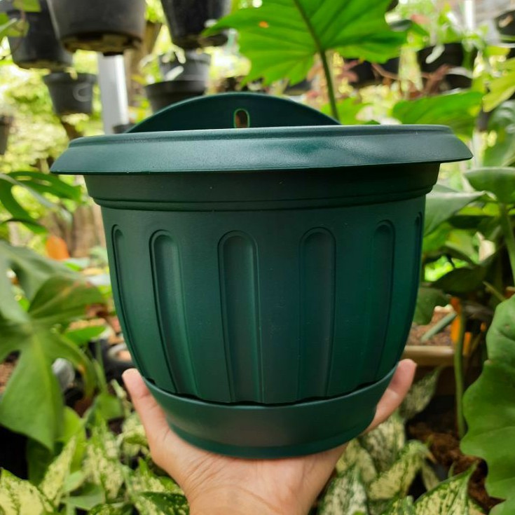 Pot Tempel Dinding Lion Star FH11 Lotus No.6 Hijau