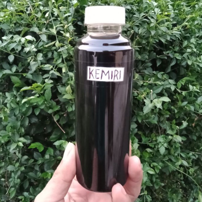 minyak kemiri bakar black original menyuburkan rambut