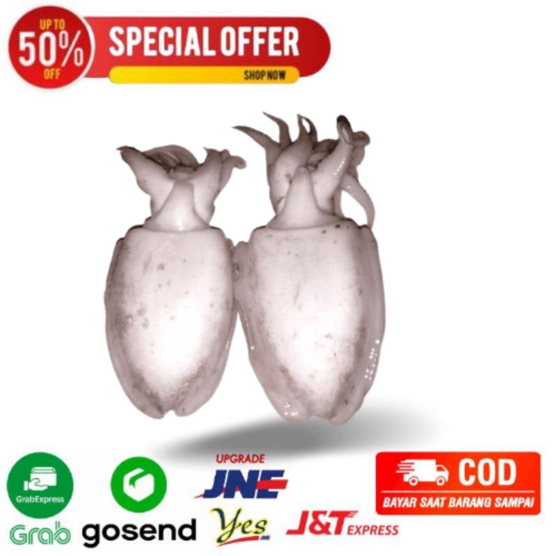 

ikan balakutak/cumi sotong fresh segarmart bandung