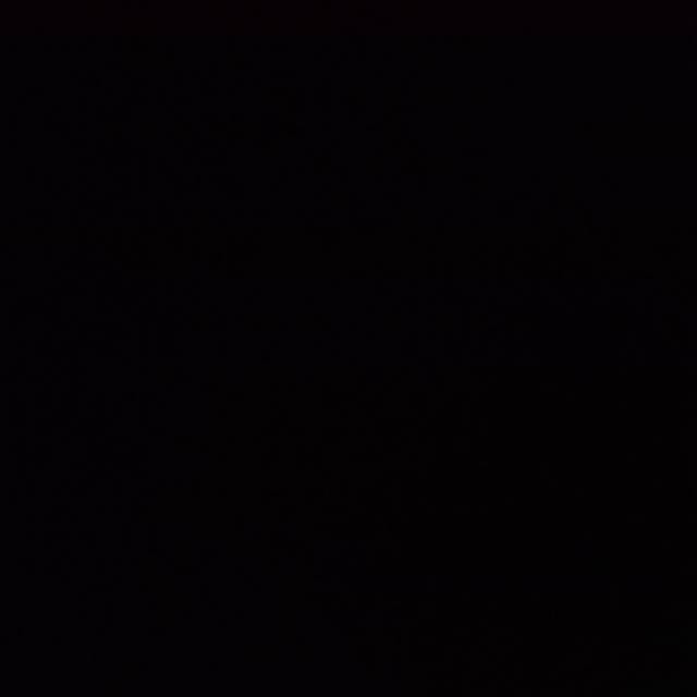 pipit_indrayani270695