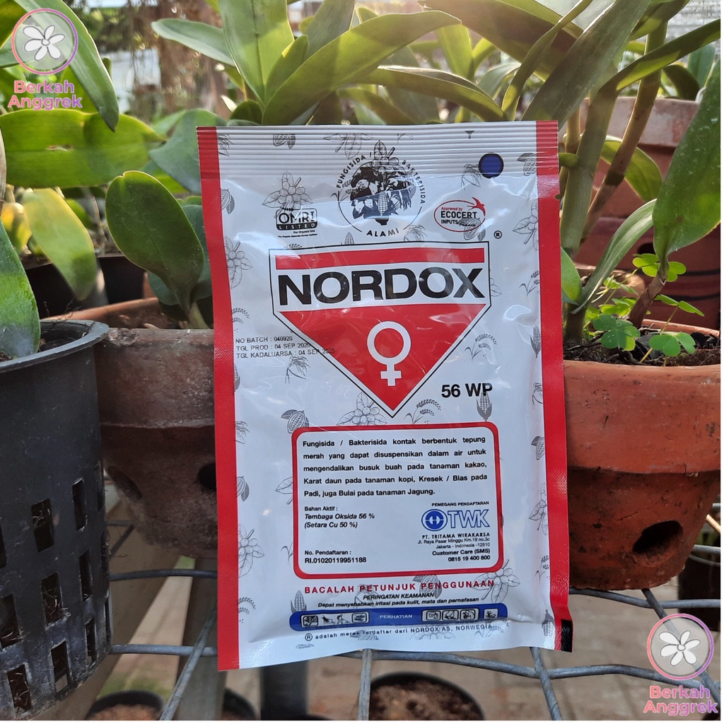 Nordox 100 Gram Fungisida Busuk Daun