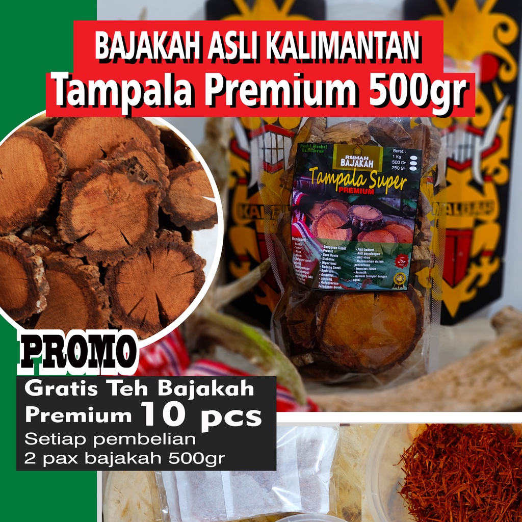 [ASLI] Bajakah TAMPALA super premium (Besar) 500gr +BONUS Teh Bajakah/ Akar Kayu Bajakah Kalimantan