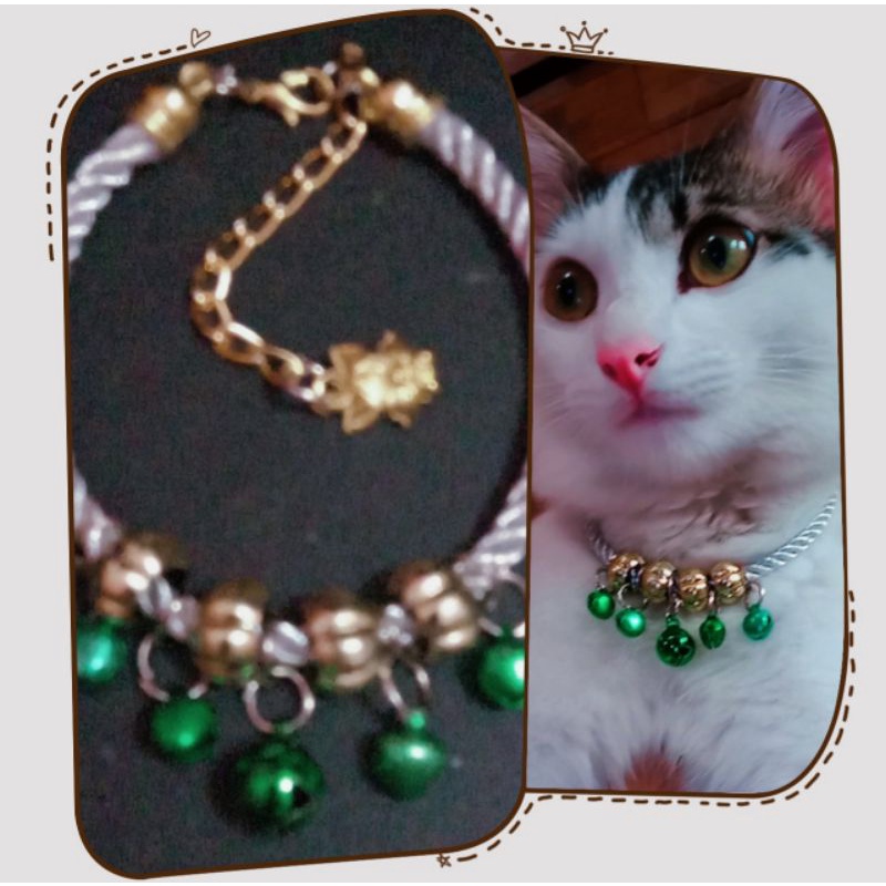 kalung kucing silver green  mewah dan cantik size dewasa untuk kitten atau anak kucing bisa chat dl ya