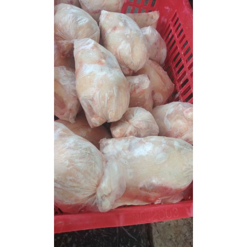 

Ayam Potong Karkas Segar