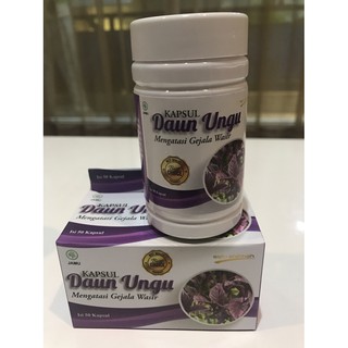 Kapsul Herbal Daun Ungu Ash - Shihhah - Efektif Atasi