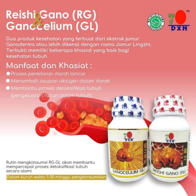 

RG (Reishi Gano) dan GL (Ganocelium) DXN