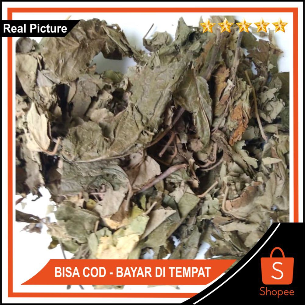 

Bisa COD Daun Jati Belanda Kering 500gr 100% Asli dan Alami