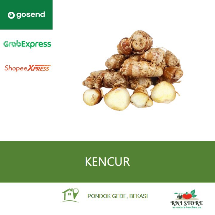 

Rempah - Kencur 250 gram