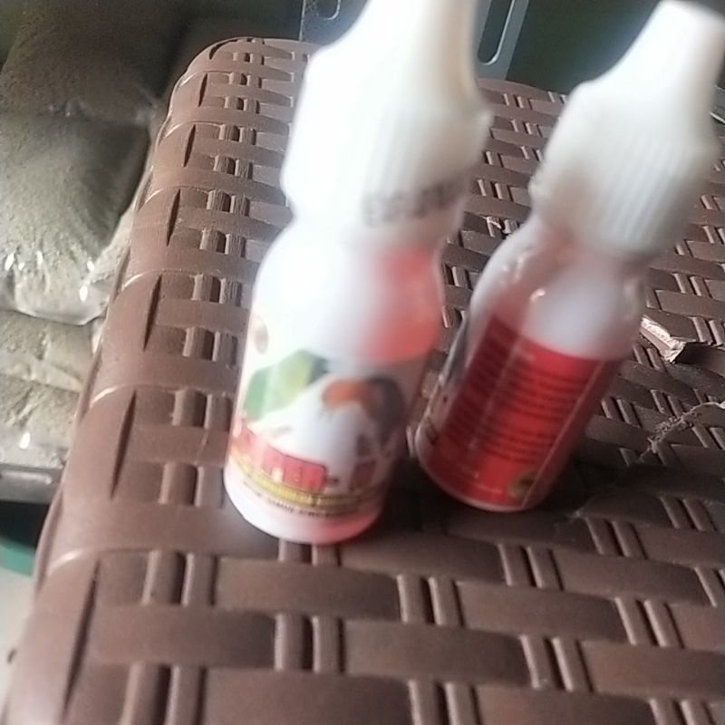 SUPER N Obat burung sakit