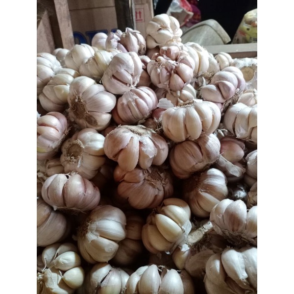 

bawang putih honan atau banci 1kg