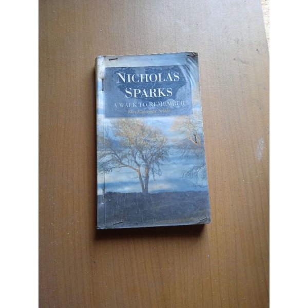 Novel A Walk To Remember