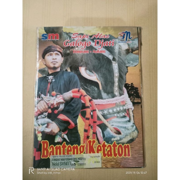 VCD original Bantengan sapi alas Galogo jati banteng ketaton