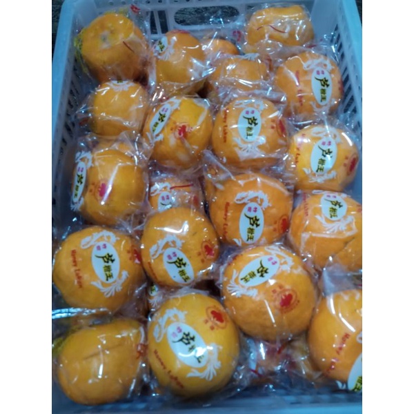 

Buah Jeruk Ponkam Taiwan