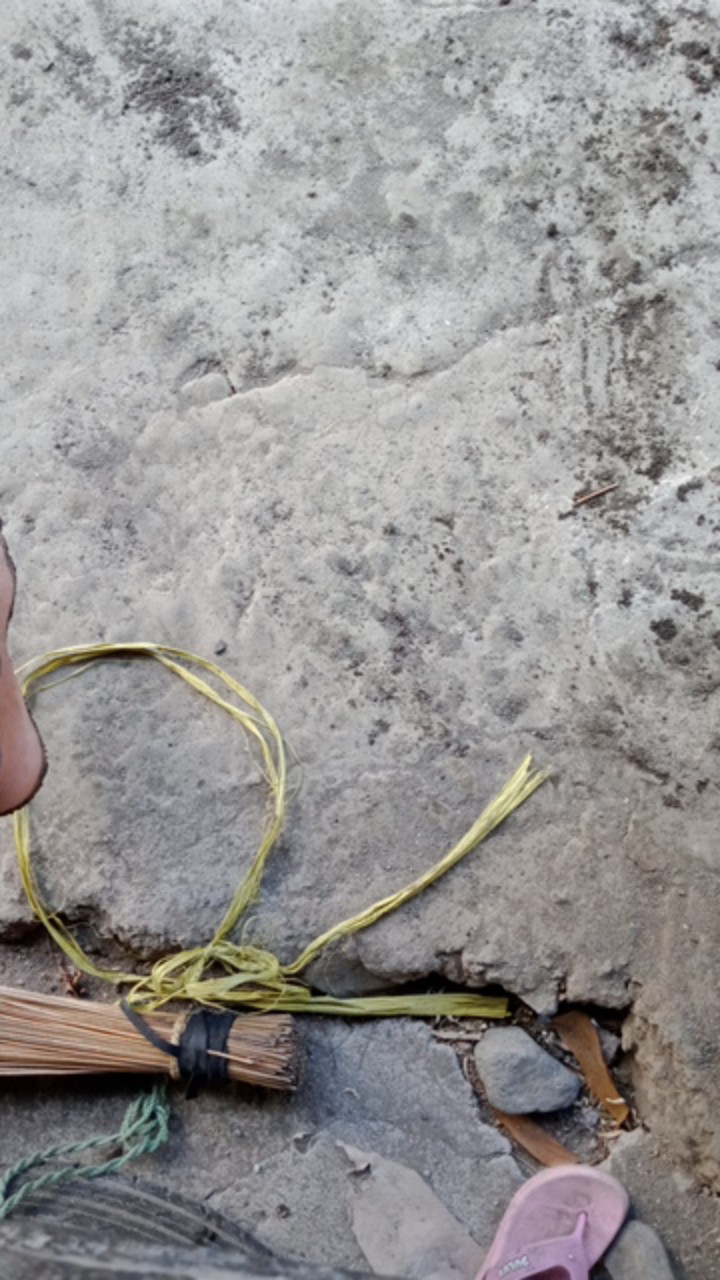 Diskon Bswart Batik Hrb026 Kenongo Hem Pendek Padi Pekalongan M L Xl Batik Pria Murah Modern Grosir