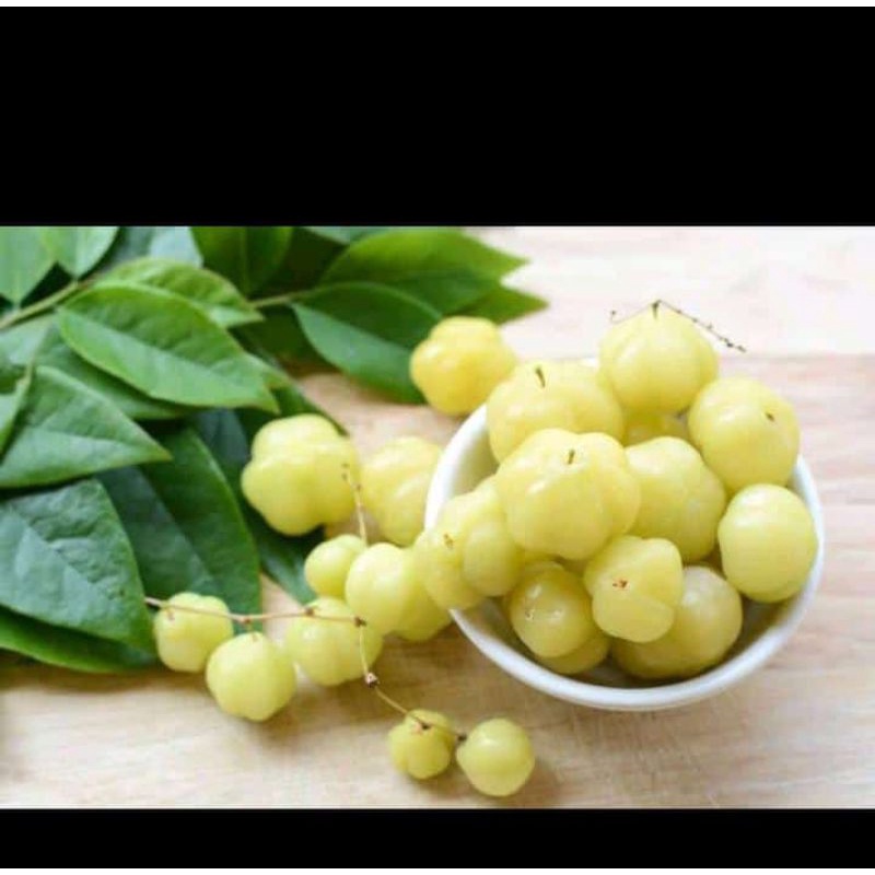 

ceremai