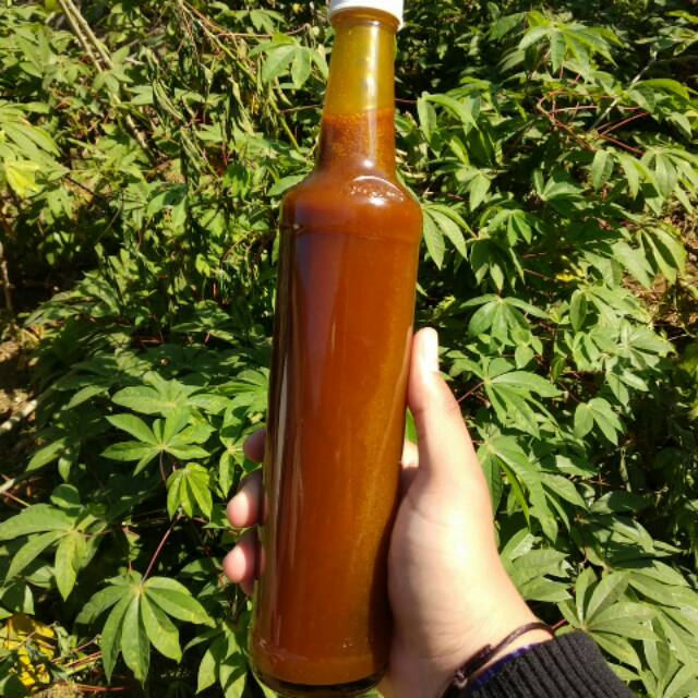 Madu tawon klanceng Asli