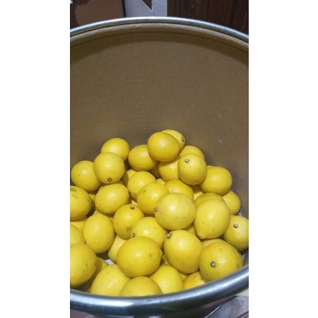 

lemon california