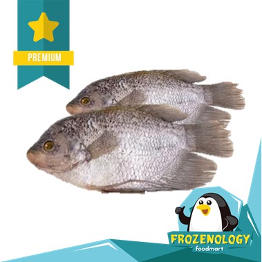 

Ikan Gurame Frozen Utuh Fresh Quality Siap Antar