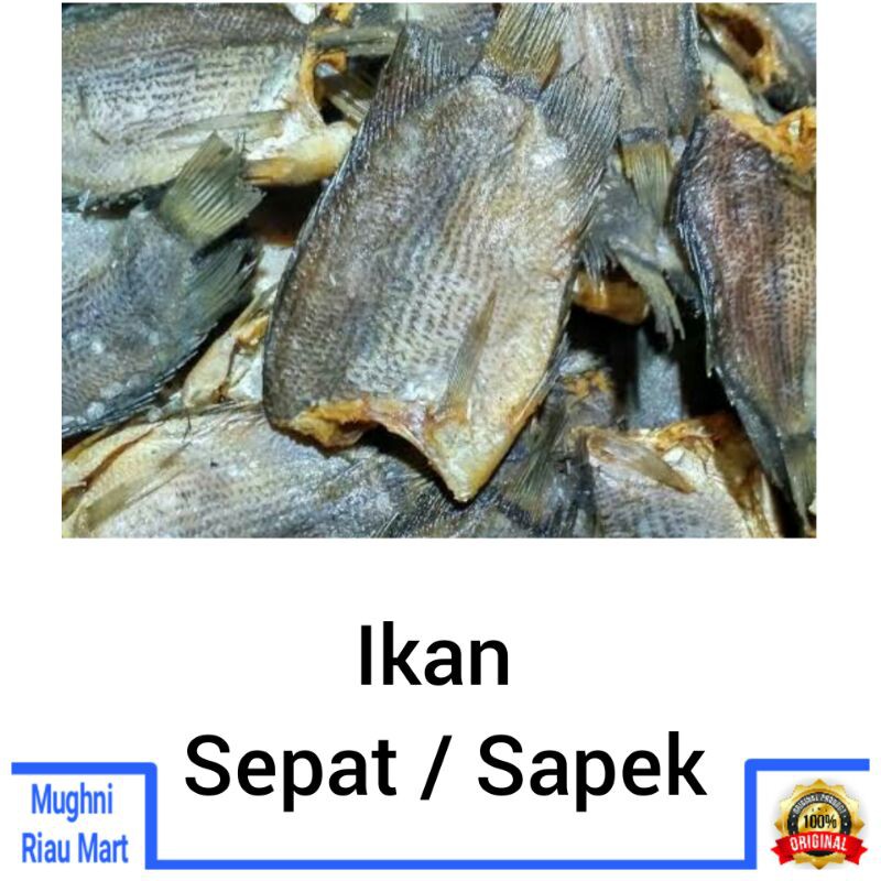 

Ikan sepat asin / sapek per ons