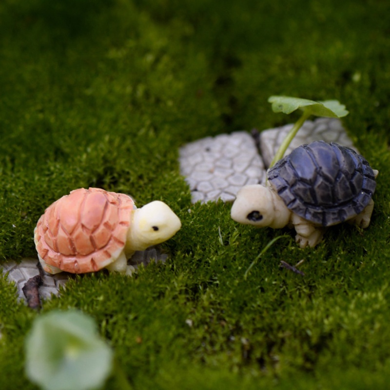 Cre Miniatur Kurakura Untuk Dekorasi Taman Minifairy Garden Diy