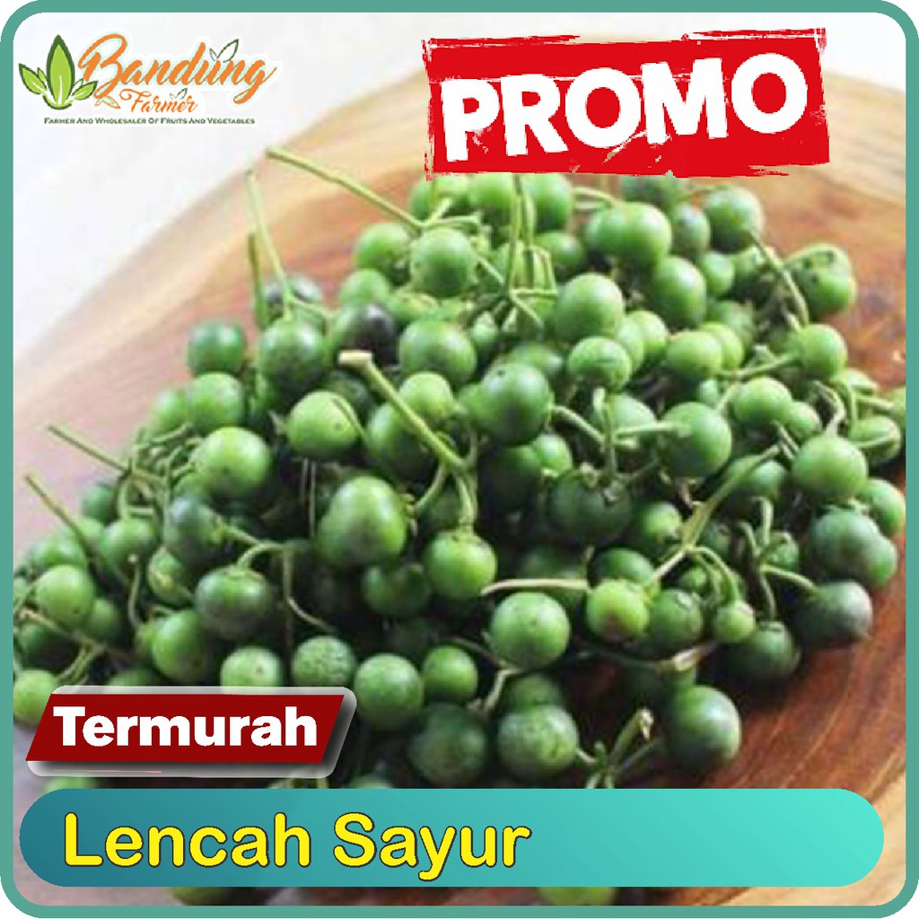 

Lencah Sayur 100 gram atau 1 ons