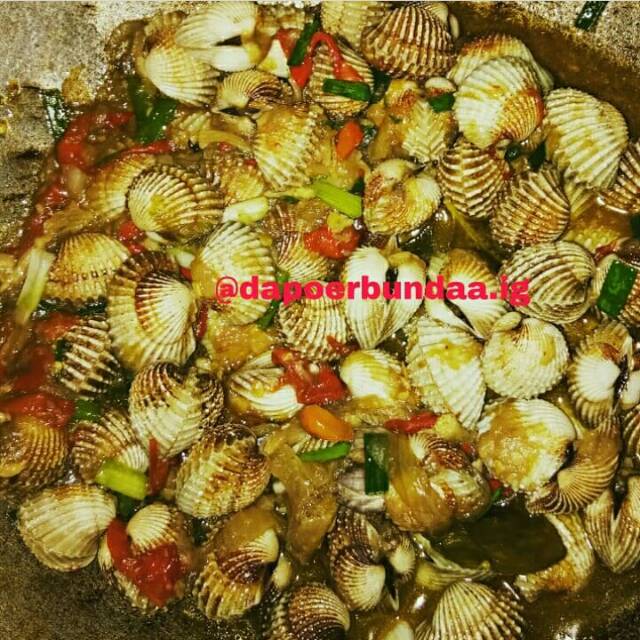 

KERANG DARA