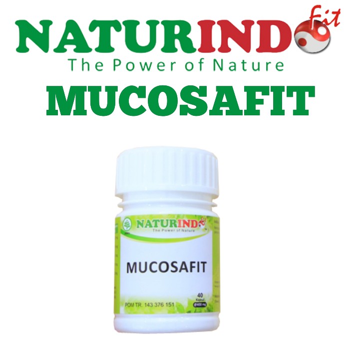 OBAT MAAG MAGH PALING AMPUH KRONIS HERBAL ASAM LAMBUNG TUKAK GERD KRONIS HERBAL MUCOSAFIT NATURINDO-3