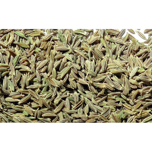 

ADAS JAWA/ADAS IJO KERING 1 KG - Foeniculum Vulgare - MURNI - JS